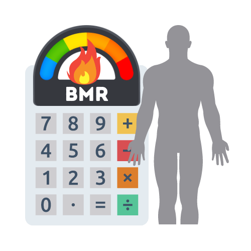 BMR Calculator Icon