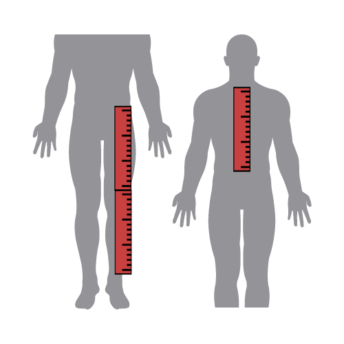 Legs Upper Body Ratio At Rita Skelley Blog